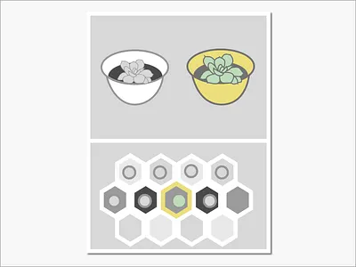 Succulents sketch succulent