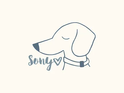 Sony the Doxie dachshund dog illustration