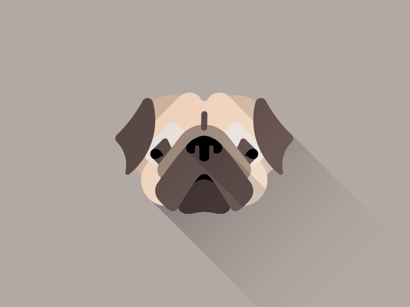 Example of A sad pug