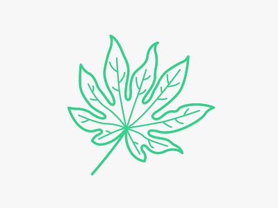 Aralia Leaf illustration leaf line nature
