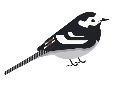 Wagtail bird block colour cute garden geometric shape wagtail