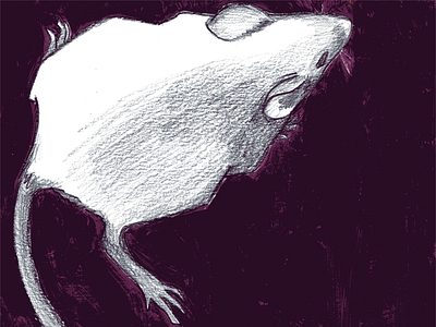 Sample from Mouse Series acrylic drawing graphite mouse