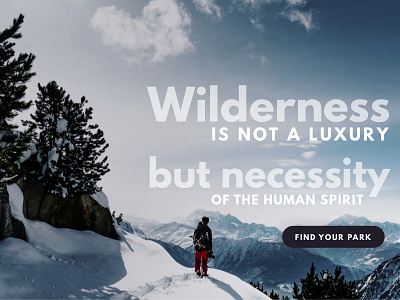 Find Your Park blue landing page mountains outdoors parks splash page typography white