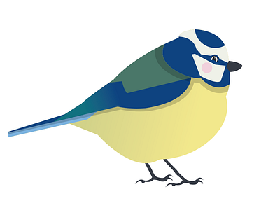 Bluetit bird block bluetit colour cute garden geometric shape