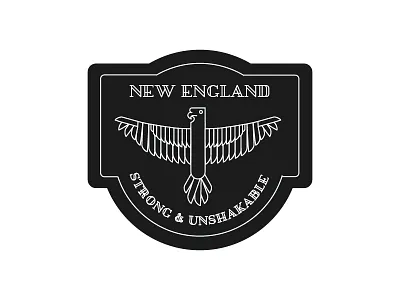 New England Hawk boston designer hawk illustration logo mark new england