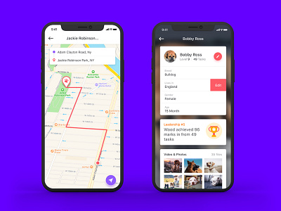 Dog training app app award direction dog iphone x map navigation task training ui ux