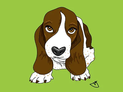 Cartoon Development basset hound cartoon digital art illustration