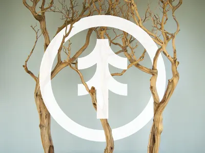 Tree arrow logo pine symbol tree wood