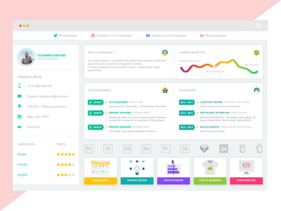 UI Designer Resume CV cv dashboard design graphic resume ui ux