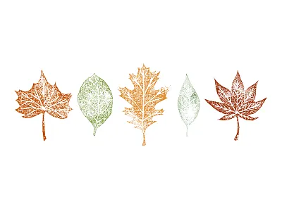 Autumn Leaves autumn autumn leaves autumn weather fall foliage illustration leaf leaves nature orange red stamp