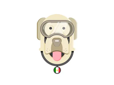 Frida animal dog frida golden mexico rescue