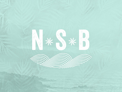 NSB Promo