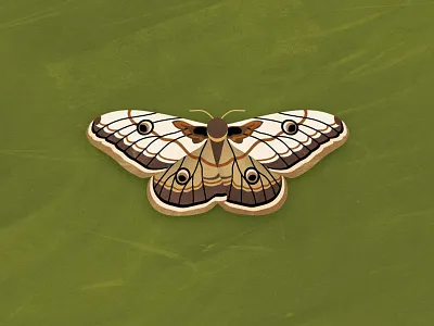 Moth butterfly eyes insect lepidoptera moth silk wings worm