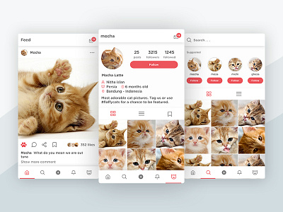 Cat gram app cat instagram mobile picture pink profile ui ux