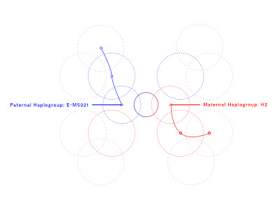 23&me Haplography Exploration ancestry geneology graph haplograph haplography visualization viz