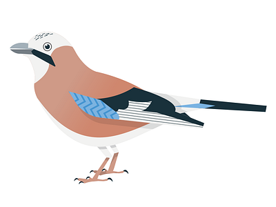 Jay bird block colour cute garden geometric jay shape
