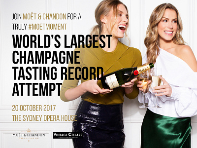 Moët & Chandon ad banner champagne maxmedialab moet