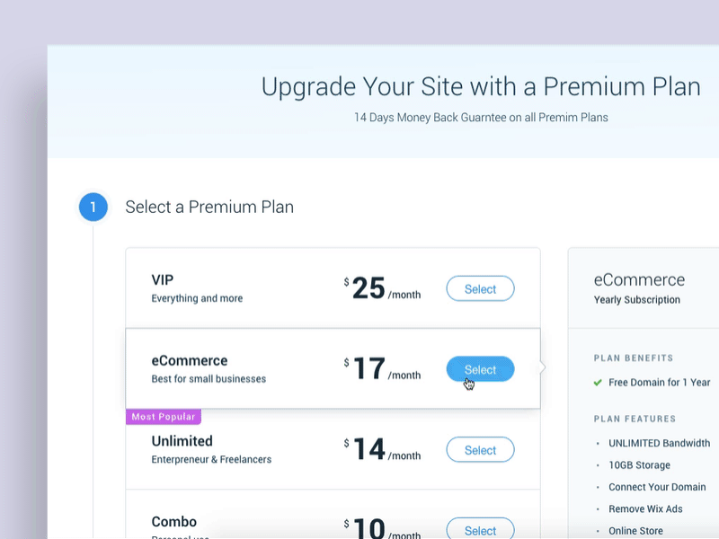 Purchase Flow animation checkout flow motion pricing purchase svg ui