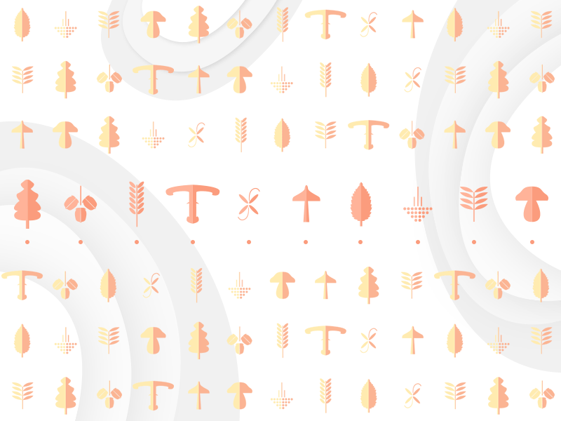 Autumn Forest acorns autumn background copper forest gold. red gray leaves mushrooms