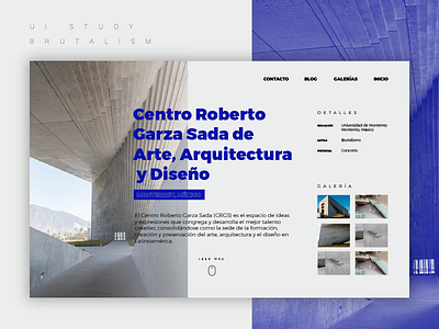 Brutalism UI Study blue brutalism brutalist ui ux web