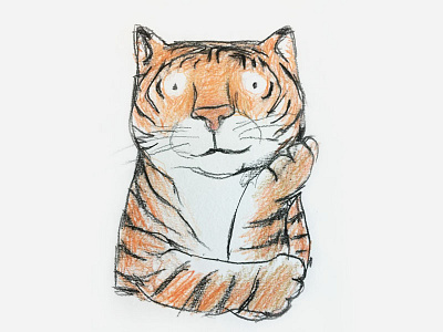 Tiger charcoal drawing pencil tiger