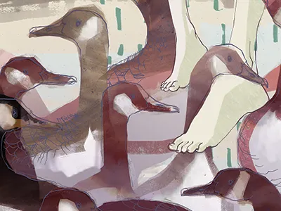 Geese feet fine art print art bird birds digital feet foot geese goose illustration illustrator legs print