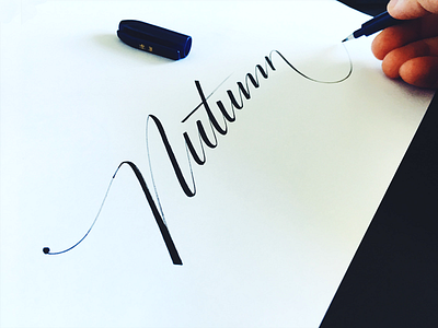 Autumn autumn branding classy custom design flow lettering script sketches swoosh type word