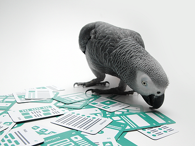 UX Bird bird cards deck flowchart flows html parrot ux ux cards web design webdev wireframes