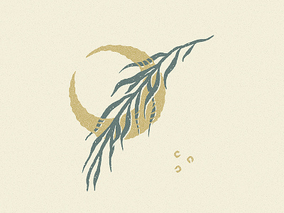 f l o u r i s h drawing fern hand drawn illustration leaves light plant sketch vintage