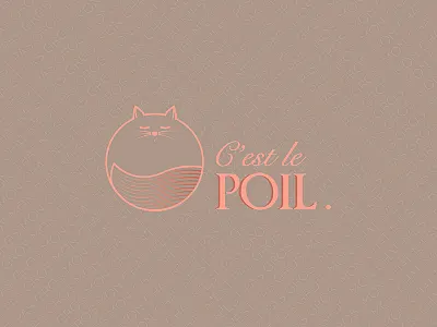 Mon chat n'est pas gros cat logo logohebdo