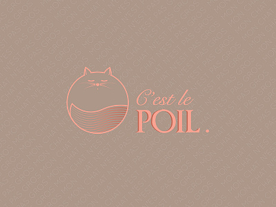 Mon chat n'est pas gros cat logo logohebdo