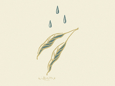 Echoes drawing hand drawn illustration leaf leaves nature plant rain sketch vintage
