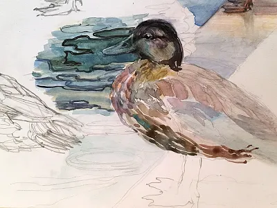 Fun with the ducks, 2015 art brush color duck illustration nature painting paper realistic sketch traditional watercolor