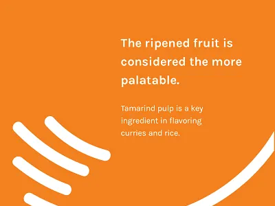 The Close Up artwork branding graphics logo type