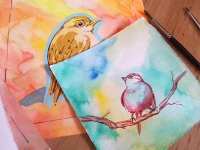 Birds bird illustration watercolor