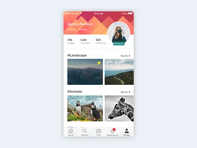 User Profile app daily ui 006 dailyui design ios iphone photography sketch toronto ui user profile