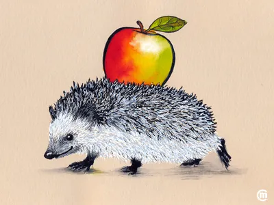 Inktober #1 animals apple hedgehog ink inkpen inktober inktober2017