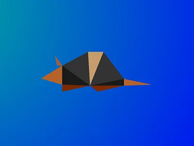 Armadillo / 10 triangles challenge armadillo illustration inspiration polygons triangles