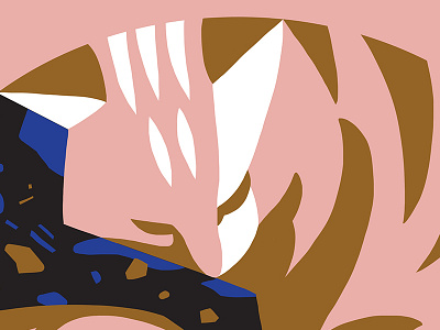 Cat cat detail