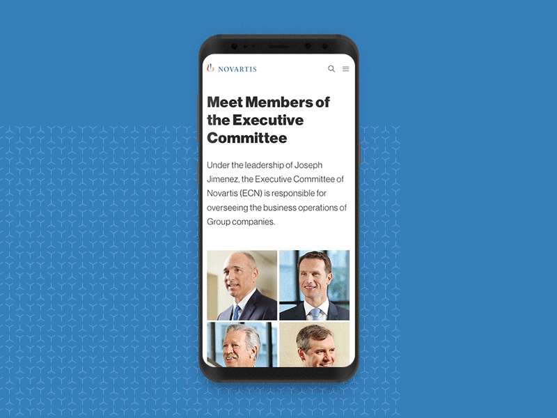 Board Members Motion app board members mobile motion profile transitions ui ux web design