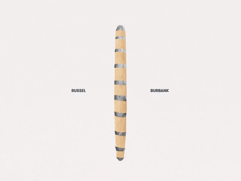 Stripe = Potato after effects animation collage design fries illustration motion photo photoshop pommes potato stripes