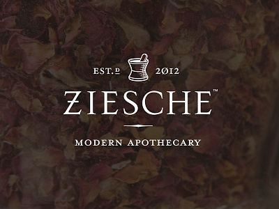 Ziesche: Logo branding graphic design identity logo