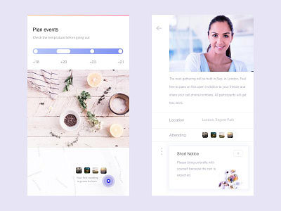 Plan Events app events ios mobile plan ui