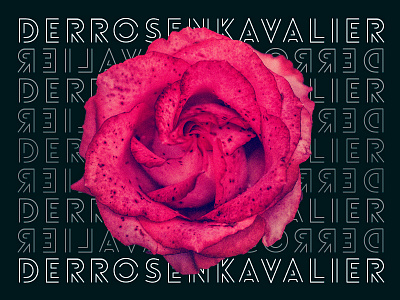 Work in progress / Der Rosenkavalier text typography visual