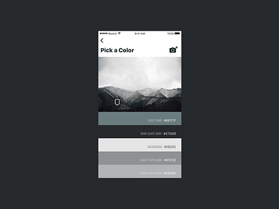 Color Picker challenge color daily dailyui mobile picker ui ux