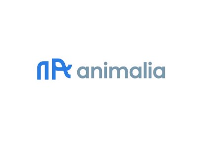 Animalia elephant letter a logo memorable monoline simple