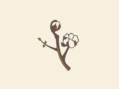 Cotton Stalk autumn cotton fall floral illustration