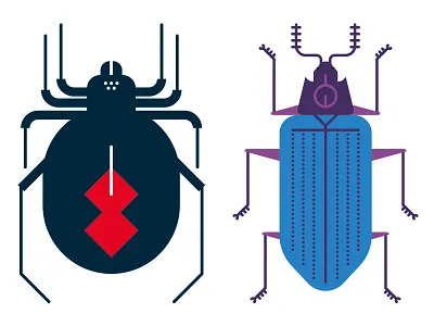 Black Widow and Gibbifer beetle flat illustration illustrator insects spider