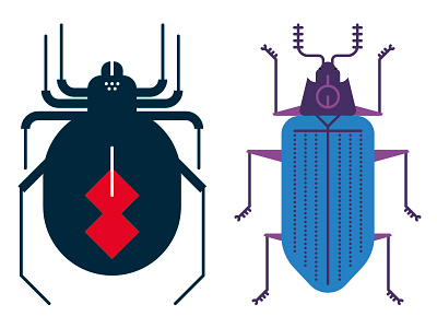 Black Widow and Gibbifer beetle flat illustration illustrator insects spider