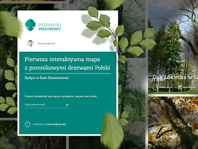 Pomniki Przyrody Wiz nature sneak peak trees website